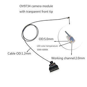 Mini <strong>Camera</strong> OV9734 <strong>Infrared</strong> Endoscope <strong>Camera</strong> Support OEM Size Industrial Endoscope Ir <strong>Camera</strong> Module Depth of Field 3mm-50mm - Product Image 2