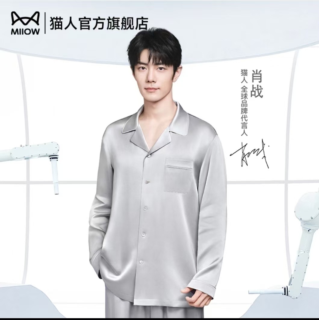 Mismo estilo que xiao zhan-gris.