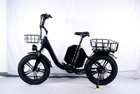 Vélo électrique pour livraison, 750W 48V 50Ah, pneus larges 20x4.0 pouces, vélo électrique avec double batterie, vélo électrique à longue autonomie