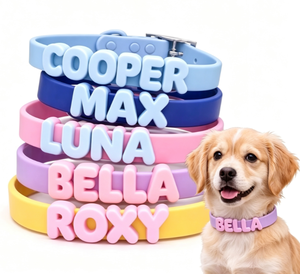 Collier personnalisé avec nom, lettres anglaises, laisse décorative en silicone, pendentif pour chien – Vente en gros usine - Product Image 1