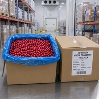 Graad A Halal IQF Diepvries Cranberries Groothandel |   100% natuurlijke, verse, diepvries hele cranberries voor sap, jam & bakkerijproducten