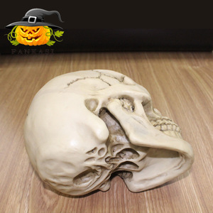 Modèle de crâne adulte réaliste en résine à l'échelle 1:1 pour Halloween, reproduction artistique médicale pour la décoration de salle d'évasion - Product Image 4