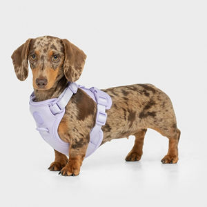 Gran oferta 2023, conjuntos de arnés de perro personalizado de neopreno de buena calidad, collares transpirables de diseñador para perros y mascotas, correas, arneses - Product Image 6