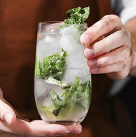 Verre Highball Premium en forme d'œuf 400ml, Tumbler Courbé Collins, Coupe à Mojito