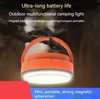 Petit porte-clés lampes de poche aimant rechargeable porte-clés lumière COB lumière LED étanche Portable Mini USB poche COB lampes de travail