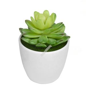 Venta al por mayor de la fábrica de alta calidad mini <span class=keywords><strong>echeveria</strong></span> falso cactus artificiales planta para Decoración - Product Image 6