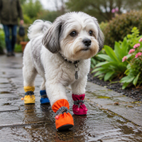 Chaussures pour chien respirantes et imperméables, semelle souple antidérapante, bottines pour animaux de compagnie pour la marche en extérieur sous la pluie et par temps froid