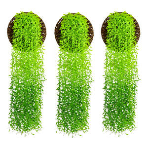 Artificial Hanging Vines Green <b>Leaves</b> <b>Wall</b> <b>Decoration</b> 100cm-200cm Plastic Indoor Outdoor Use - Product Image 5