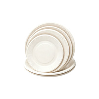 Assiette Ronde Jetable en Pulpe de Canne à Sucre Biodégradable, Vaisselle de Qualité Alimentaire pour Pique-nique, Fête, Barbecue, Dessert, Vente en Gros