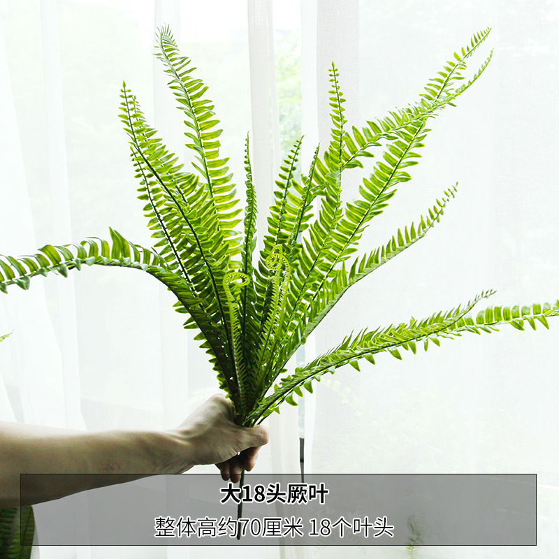 Gran hoja cyambidium 18-cabeza