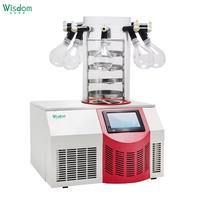 Wijsheid 9l Mini-Tafellab Vacuümvriesdroger-Lyofilisateur/Gefriertrockner Voor Voedsel/Fruit/Groenten