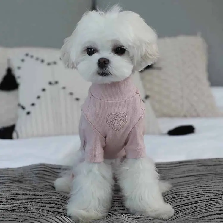 Camisa cómoda con fondo de cuatro piernas para mascotas, ropa de lujo con ojos de amor para perros