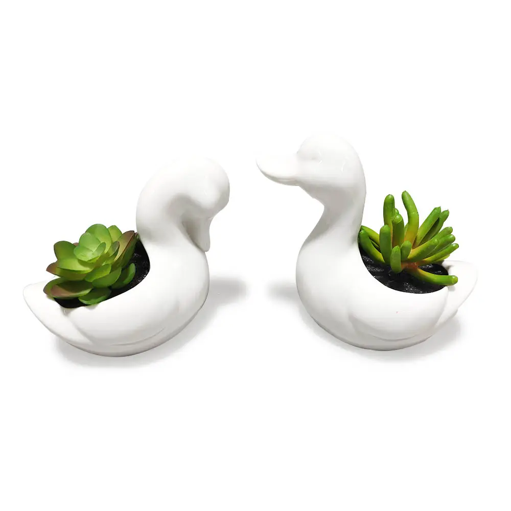 Logo personalizzato nuovo design forme di anatra bianca vasi di fiori in ceramica da giardinaggio all'aperto fioriera vasi succulenti