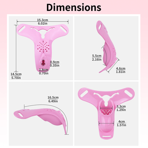 FRRK Ceinture de chasteté Sissy, Culotte de chasteté, Harnais anti-chute pour chasteté extrême, Verrouillage du pénis, Jouet de féminisation - Product Image 3