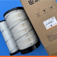 Pièces détachées Liugong pour excavatrice CLG913EG4/9075F/920E, filtre à gasoil 60C6348P01 56C1196P01 21C2276P01 53C0436 40C5724 60C0718