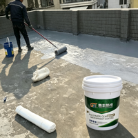 Revêtement liquide LiFeng JS à base de polymère acrylique et de ciment, résistant à l'eau, écologique, pour béton, usage intérieur, rigide et flexible
