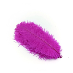 Migliore qualità soffice a buon mercato grandi <span class=keywords><strong>piume</strong></span> <span class=keywords><strong>di</strong></span> struzzo bianco 15-20 cm <span class=keywords><strong>piume</strong></span> <span class=keywords><strong>di</strong></span> struzzo finiture per la creazione <span class=keywords><strong>di</strong></span> <span class=keywords><strong>ali</strong></span> <span class=keywords><strong>di</strong></span> <span class=keywords><strong>piume</strong></span> <span class=keywords><strong>di</strong></span> carnevale - Product Image 6