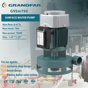 Pompe à eau centrifuge portable GRANDFAR 220V 750W 1 CV à carter en fonte, vertical, débit élevé 19m GVSm750, petite pompe centrifuge - Product Image 1