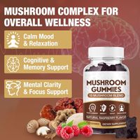 Gummies aux champignons composés best-seller, 3g chacun, flacon de 60 unités, personnalisation OEM, 10 en 1