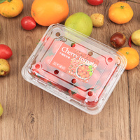 Scatola in Plastica Trasparente di Alta Qualità per Frutta, Confezione per Negozio di Frutta, Scatola Blu per Fragole