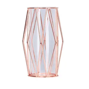 Grosir transparan logam vas-Vas Tabung Uji Minimalis, Kawat Logam Transparan Kaca Emas Mawar Modern Dekoratif