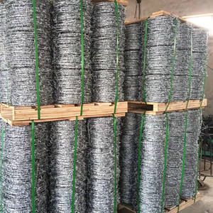 Hàng rào dây thép gai mạ kẽm để bảo vệ dây thép gai - Product Image 6