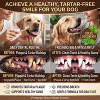 Dentifrice avancé pour chiens sans fluorure, à l'extrait d'aloès et aux enzymes bioactives, pour la santé des gencives et l'élimination de la mauvaise haleine, soins pour animaux de compagnie, marque privée