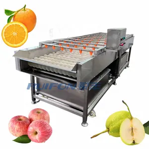Food Grade Stainless Steel Fresh Fruit Washer Fresh Root Vegetables Washing Machine