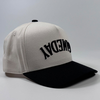 Casquettes de baseball brodées 3D en relief de haute qualité OEM, casquette de sport personnalisée à deux tons inversés, casquette trucker pour hommes, casquette snapback à visière incurvée pour l'extérieur