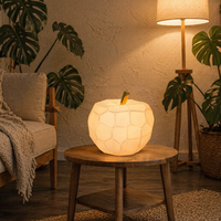 Lampe de nuit en céramique en forme de pomme, faite à la main, lampe de table pour bébé et enfant, design simple, base d'ampoule E14