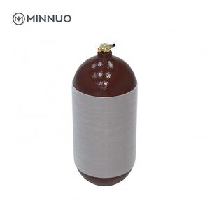 Professionnel Après-vente Usine Cng Cylindre pour la France - Product Image 6