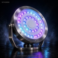 Lumière LED sous-marine certifiée CE IP68, en acier inoxydable, RGB, à intensité variable, submersible, pour piscine, fontaine, paysage, 5 ans de garantie