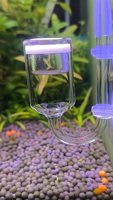 Diffuseur d'air en verre pour aquarium avec pompe à oxygène, pierre à bulles et design écologique pour aquarium de 5L