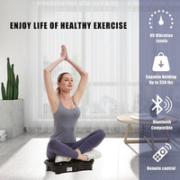 Plateforme vibrante de fitness à domicile ABS pour la combustion des graisses et l'entraînement corporel