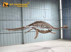 Mon modèle <span class=keywords><strong>de</strong></span> squelette <span class=keywords><strong>de</strong></span> Plesiosaurus, animal préhistorique artificiel, <span class=keywords><strong>simulation</strong></span> Dino <span class=keywords><strong>DS</strong></span>-114 - Product Image 3