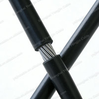 Câble d'alimentation basse tension Triple E ABC en aluminium XLPE, résistant aux intempéries, pour l'électrification rurale