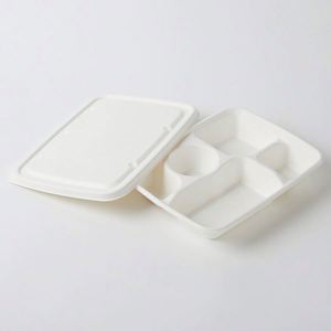 Assiette à déjeuner jetable en bagasse, biodégradable, blanche, moulée, 5 compartiments, plateau alimentaire - Product Image 4