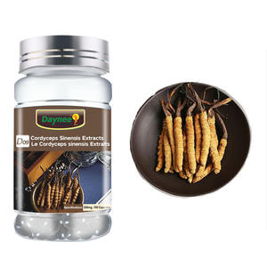 Cápsulas wins Town Cordyceps sinensis 100% Extracto de planta china Cordyceps sinensis Wild Himalayan Cordyceps sinensis - Product Image 1