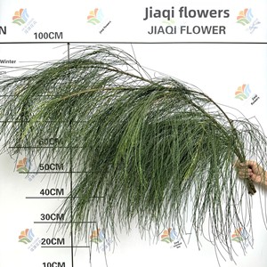 Ramas Frescas de <span class=keywords><strong>Pino</strong></span> <span class=keywords><strong>Casuarina</strong></span> Equisetifolia, Flores Verdes para Bodas y Paisajismo, Flores Pequeñas al por Mayor - Product Image 5