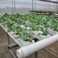 Serre agricole Système hydroponique NFT Canaux Tubes PVC NFT avec système d'irrigation en croissance