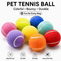 Vente en gros de balles de tennis pour animaux de compagnie de 1,5 à 9 pouces, jouets pour chiens, balles rebondissantes interactives, logo personnalisé, couleur, taille, emballage