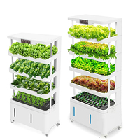 Système hydroponique intelligent pour la culture verticale de légumes à feuilles vertes commerciaux