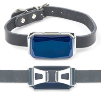 Mini GPS traqueur étanche pour animaux, chat et chiens, application gratuite + PC Web + SMS, suivi antivol en temps réel, vente en gros, usine