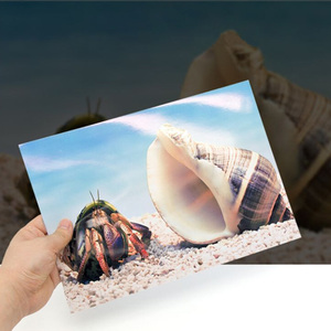 Premium Koala 135g Inkjet Sticker <strong>Photo</strong> <strong>Paper</strong>, High Glossy Self Adhesive <strong>Photo</strong> <strong>Paper</strong> A4 - Product Image 3