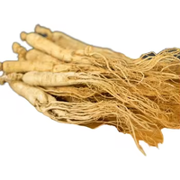 Compléments Nutritionnels à Base de Plantes OEM ODM pour Hommes : Maca, Fenugrec, Ginseng en Capsules Molles – Certifiés ISO/HALAL – Produits de Beauté – Durée de Validité : 3 Ans