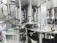 Jus de fruit personnalisé faisant la ligne de production de l'usine de remplissage à chaud presse-agrumes pomme orange mangue citron
