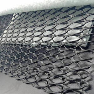 3D-Kunststoff-Geomatte Landschaftsbau-Damm Geonetz Geogitter Drainageplatte Hangerosionsschutz Geokomposit-Drainagenetz Maschinenlinie - Product Image 6