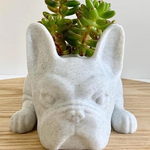 Maceta <span class=keywords><strong>de</strong></span> resina con forma <span class=keywords><strong>de</strong></span> bulldog francés recostado, textura <span class=keywords><strong>de</strong></span> hormigón, para suculentas, decoración nórdica para el hogar y jardín, regalo al por mayor, decoración <span class=keywords><strong>de</strong></span> mesa OEM - Product Image 6