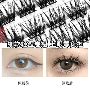 Faux cils 10 rangées style croisé épais et recourbés effet 3D fabriqués à la machine fibres importées bouquets individuels pour les Européennes et Américaines - Product Image 4