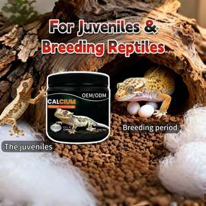 Kalsium Bubuk OEM untuk Leopard Gecko Tanpa D3 Tanpa Fosfor Aksesoris Akuarium Leopard Gecko Tempat Tinggal Reptil - Product Image 4